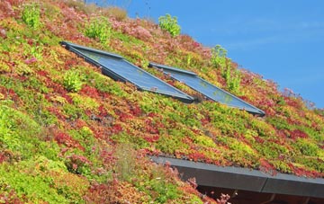 Bagley living roof systems